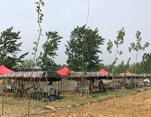 17th Anniversary BBQ Activity | POWERSON METAL (DWL)插图4