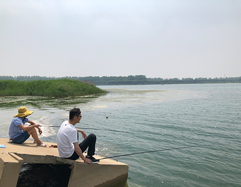 17th Anniversary BBQ Activity | POWERSON METAL (DWL)插图5